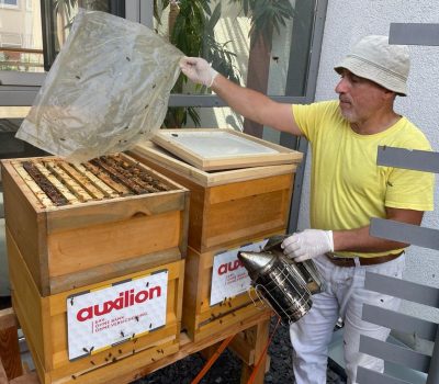Imker von beefuture kümmert sich um die Bienenvölker von auxilion.